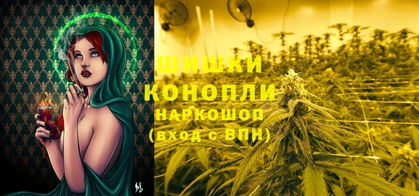 эйфоретик Баксан