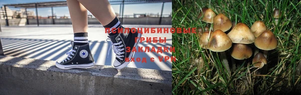 прущая мука Белокуриха