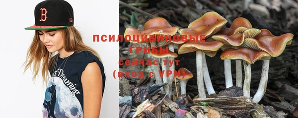 гашик Балабаново
