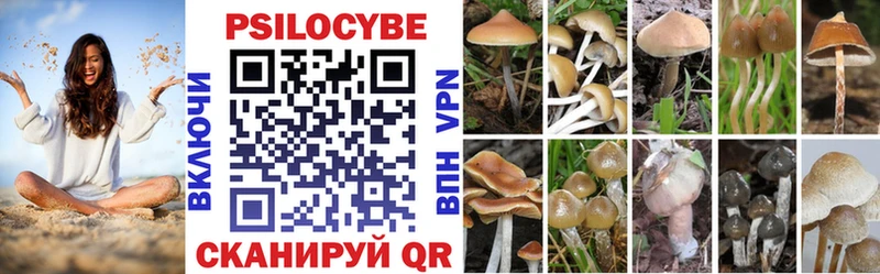 Псилоцибиновые грибы GOLDEN TEACHER  Новоалтайск 